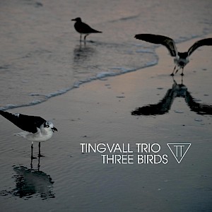 Rhodes Version of THREE BIRDS